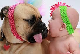 dog-and-baby