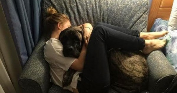 Όταν έμαθε ότι ο σκύλος της έχει καρκίνο, έκανε μαζί του κάτι πολύ συγκινητικό