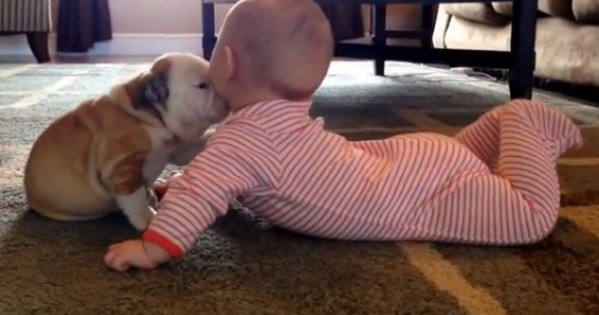 Το μωρό δέχεται «επίθεση» φιλιών από κουταβάκι. Δείτε το τρυφερό βίντεο