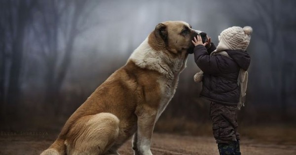 Μαγικές φωτογραφίες: Η αγάπη των παιδιών για τα ζώα