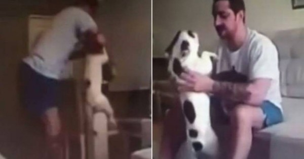 Μπράβο κοπέλα μου: Τον έπιασε να κακοποιεί τον σκύλο της και ακύρωσε το γάμο τους! (βίντεο)