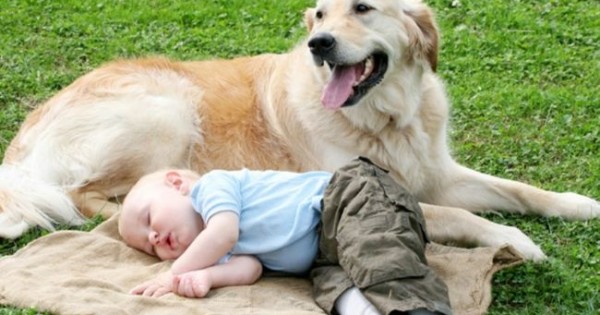 Αρέσει στο μωράκι σας να κοιμάται πάνω στο σκυλάκι σας; Δείτε τι λένε οι επιστήμονες