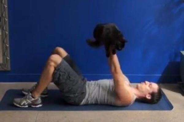 γυμναστική Γάτα άσκηση 