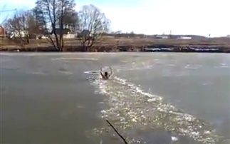 Βούτηξε σε παγωμένη λίμνη για να σώσει σκύλο! (βίντεο)