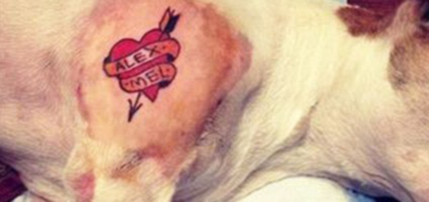 mistah-metro-tattooed-dog-hero_0