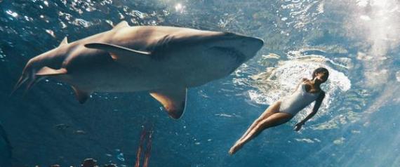 Η Rihanna κολυμπάει μαζί με καρχαρίες!