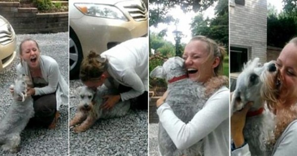 Σκύλος λιποθυμάει από τη χαρά του όταν βλέπει το αφεντικό του μετά από 2 χρόνια! (βίντεο)