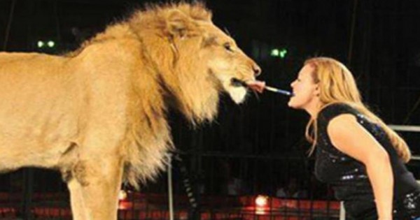 Αίγυπτος: Λιοντάρι επιτέθηκε στη θηριοδαμαστή σε ζωντανή παράσταση σε τσίρκο (βίντεο)