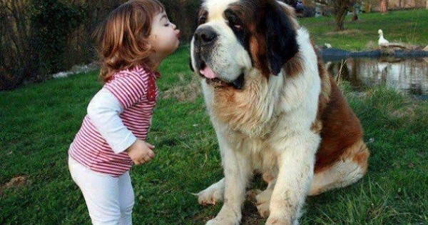 ΠΑΝΕΜΟΡΦΟ: Παιδιά και ζώα, οι πιο αγαπημένοι φίλοι του κόσμου (εικόνες)