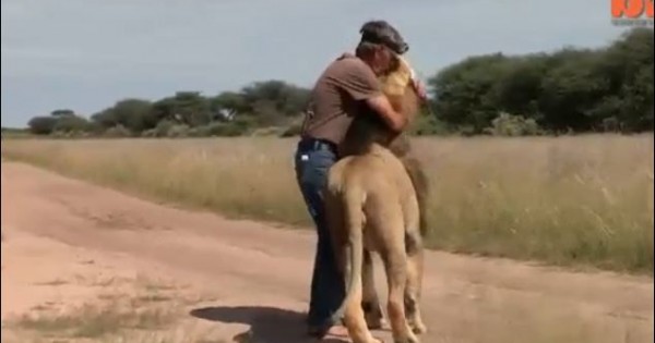 Συγκινητικό βίντεο: 11 χρόνια φίλος με ένα λιοντάρι