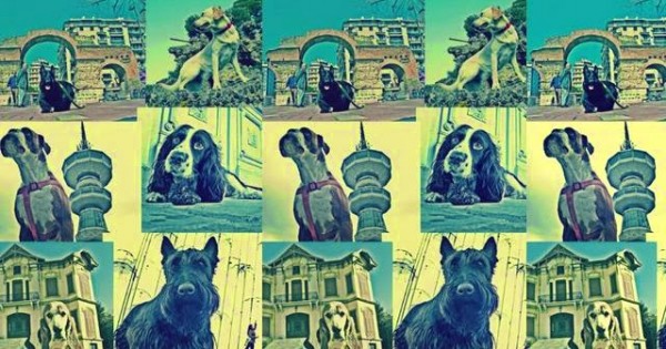 City of dog: Μια διαφορετική έκθεση με φωτογραφίες σκύλων σε διάφορα μνημεία της Θεσσαλονίκης