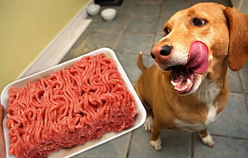 Επιζήμια για την υγεία των σκυλιών η κατανάλωση ωμού κρέατος