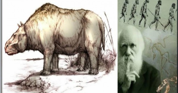 Λύθηκε το μυστήριο των «πιο παράξενων ζώων του κόσμου» που είχε ανακαλύψει ο Δαρβίνος