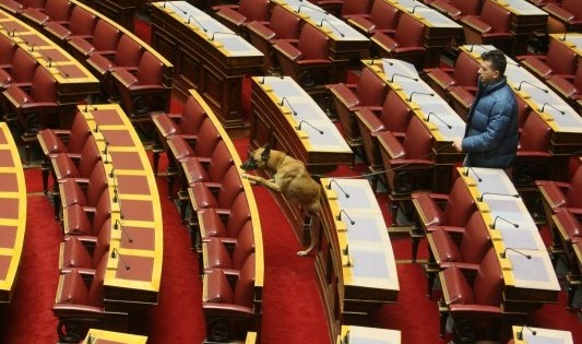 Ένας σκύλος μέσα στη… Βουλή (φωτό)