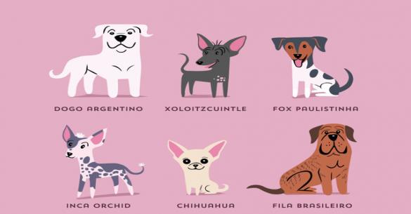 Άκρως εντυπωσιακό – Δείτε όλες τις ράτσες σκυλιών ανά γεωγραφική προέλευση! (εικόνες)