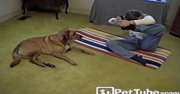 Ο σκύλος και το αφεντικό του προσπαθούν να κάνουν yoga – Μη βιαστείτε να πείτε ποιος τα κατάφερε (βίντεο)