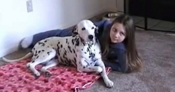 Ο πατέρας τους είπε να χαμογελάσουν – Άπλα δείτε πώς αντέδρασε ο σκύλος της οικογένειας! (βίντεο)