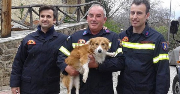 Φωτογραφίες: Πυροσβέστες έσωσαν σκυλάκι που έπεσε σε ποτάμι στη Βέροια