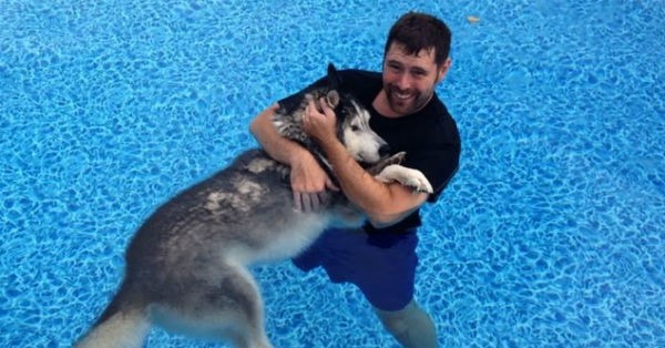 Δείτε γιατί πηγαίνει καθημερινά τον άρρωστο σκύλο του σε αυτή την πισίνα (Βίντεο)