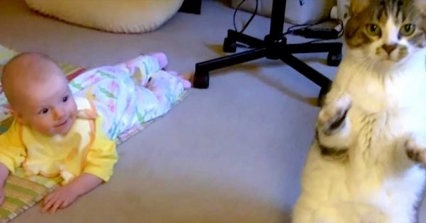 Η μαμά αφήνει το μωρό της στο χαλί και δείτε την φοβερή αντίδραση της γάτας! (Βίντεο)