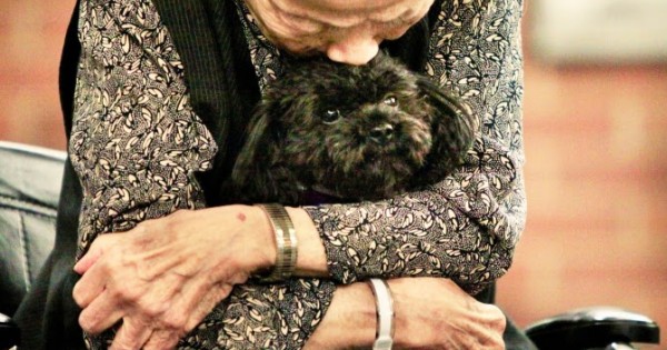 Συγκινητικό: Μικροσκοπικό σκυλί σκορπά την αγάπη σε γηροκομείο (Βίντεο)