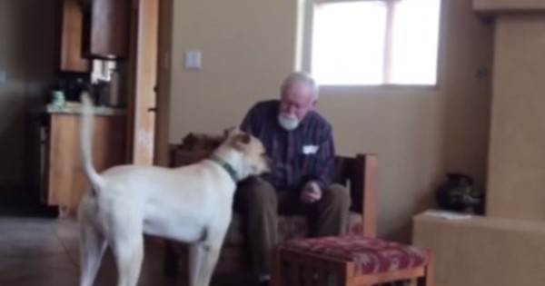 Ο πατέρας της δε μιλούσε λόγω Αλτσχάιμερ, αλλά μόλις έβλεπε το σκύλο του… όλα άλλαζαν!