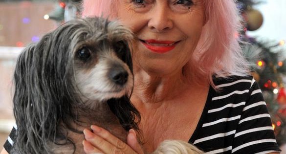 Δαπανά 28 χιλιάδες λίρες για να φροντίζει αδέσποτα σκυλάκια στο σπίτι της