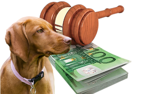 Φθιώτιδα: Πρόστιμο 60.000€ σε 85χρονο που σκότωσε τα δύο σκυλιά του γείτονά του
