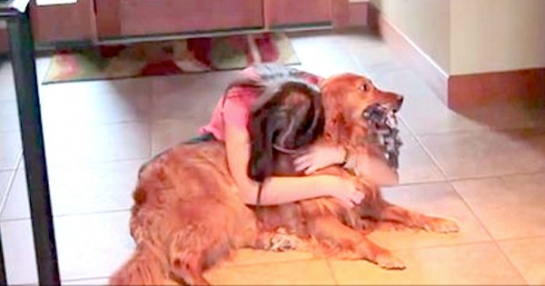 Ένιωθε άσχημα που άφηνε τον σκύλο της μόνο του πολλές ώρες, έτσι της ήρθε αυτή η πρωτότυπη ιδέα! (Βίντεο-Φωτογραφίες)