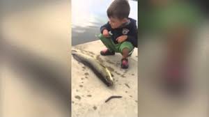 Το ψάρι αντεπιτίθεται! (Βίντεο)