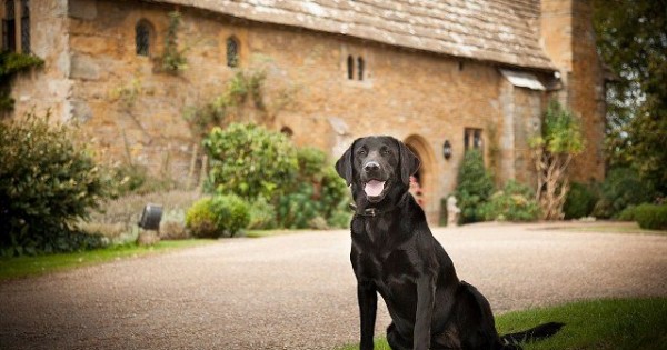 Διακοπές στο Ηνωμένο Βασίλειο μαζί με το σκύλο (Φωτογραφίες)