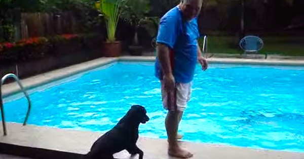 Στέκεται όρθιος δίπλα από την πισίνα. Δείτε όμως τι θα κάνει ο σκύλος από πίσω του! (Βίντεο)