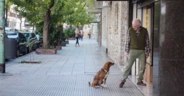 ΣΥΓΚΛΟΝΙΣΤΙΚΟ ΒΙΝΤΕΟ: Ο σκύλος μύρισε την καρδιά του αφεντικού του σε ξένο σώμα
