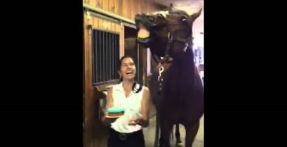 Ένα άλογο σβήνει τα κεράκια (Βίντεο)