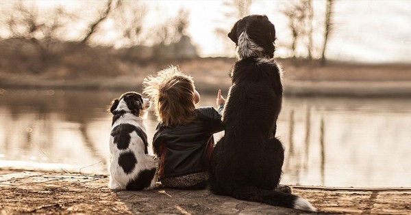Τρυφερές φωτογραφίες της σχέση αγάπης ενός 2χρονου με τα 3 σκυλιά του!