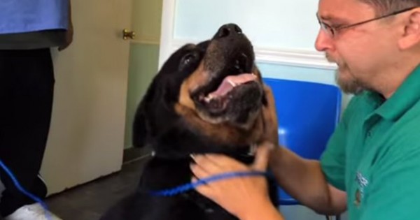 Σκύλος συναντά το αφεντικό του μετά από οκτώ χρόνια (video)