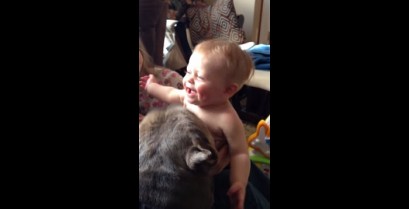 Το πίτμπουλ και το μωρό (Βίντεο)