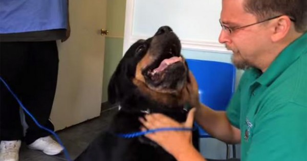 Συγκινητικό – Ξαναβρήκε το σκύλο του μετά από 8 χρόνια (βιντεο)
