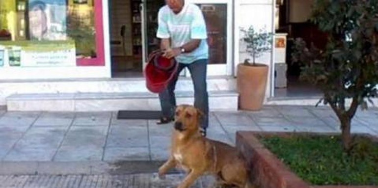 χλωρίνη Σκύλος Θεσσαλονίκη εισαγγελέας 