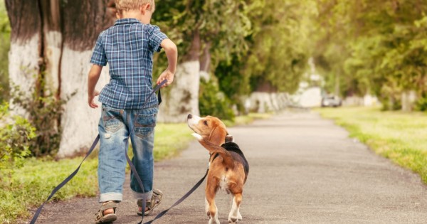 Παιδιά! 6 συμβουλές για αποφυγή δαγκώματος από σκύλο