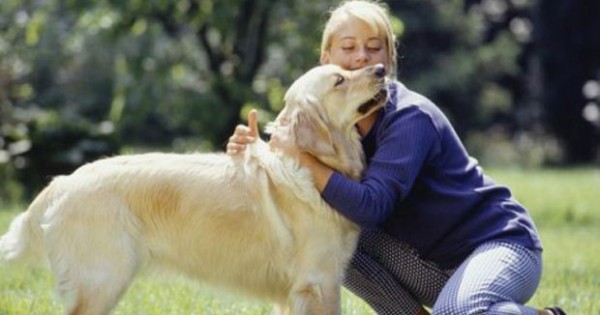 ΜΗΝ ΞΕΧΝΑΤΕ: Επιβραβεύστε την καλή συμπεριφορά του σκύλου σας!
