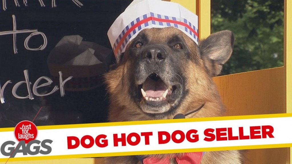 φάρσα Σκύλος hot dog 