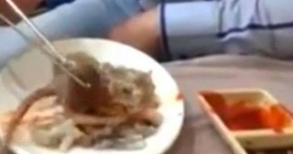Κορεάτης δίνει «μάχη» για να φάει ένα χταπόδι… ζόμπι! (video)
