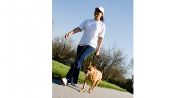 Οχτώ καλοί λόγοι να έχετε το σκύλο με το λουρί στη βόλτα