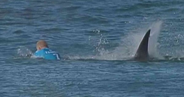 Συγκλονιστικό βίντεο: Καρχαρίας επιτίθεται σε διάσημο σέρφερ την ώρα που διαγωνίζεται (Βίντεο)