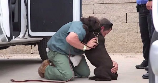 Μια φυλακισμένη γυναίκα μεγάλωσε αυτόν το σκύλο μέσα στην φυλακή. Δείτε τι έγινε όταν τον αποχαιρέτησε (Βίντεο)