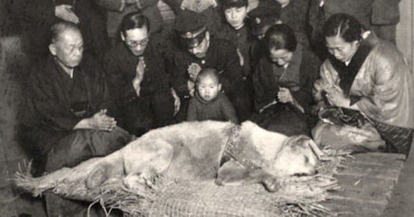 Πριν από 100 χρόνια περίπου, χιλιάδες άνθρωποι θρήνησαν για το θάνατο αυτού του σκύλου… (Βίντεο)