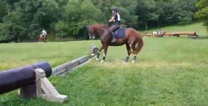 Διστακτικό άλογο πηδά ένα εμπόδιο (Βίντεο)