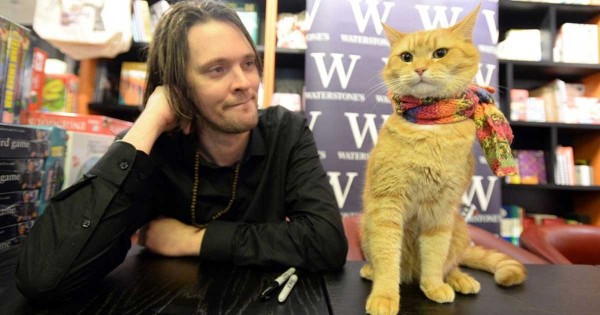 Αυτή η γάτα έσωσε τον άστεγο ιδιοκτήτη της από τα ναρκωτικά και τον έκανε μεγάλο συγγραφέα