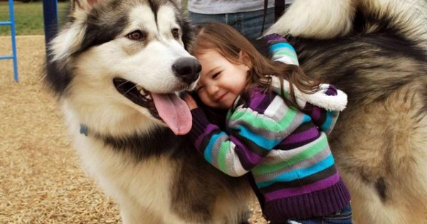 Έρευνα: Πώς οι σκύλοι βοηθούν τα παιδιά με αυτισμό